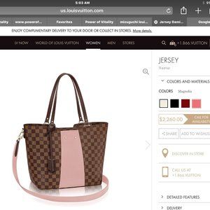 Louis Vuitton Purse - Jersey N44041